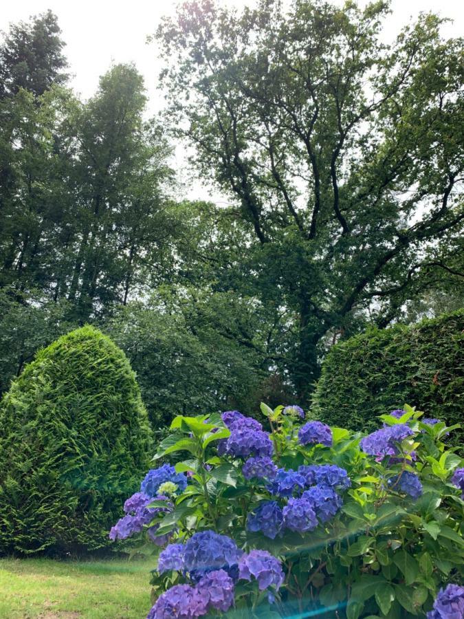 Zonnebos, Private Garden, Fresh Air, Relax! Villa Otterlo Exterior photo